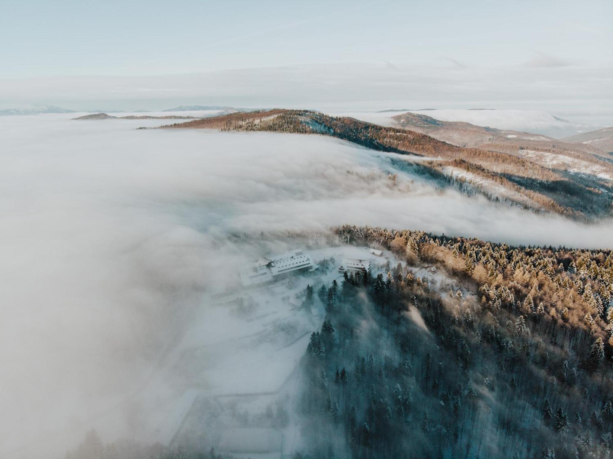 Kocierz 3* Тарганіце
